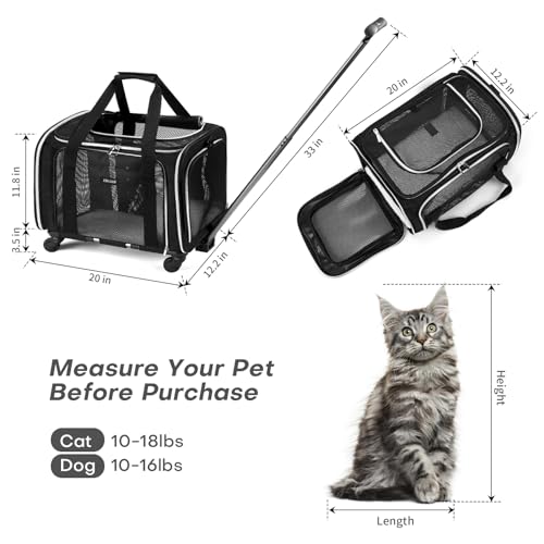 BAGLHER Dog Carrier Bag with Wheels, Airline Approved, Purple F84558