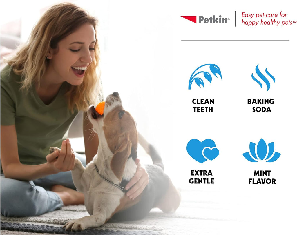 Petkin Cat and Dog Dental Wipes, Fresh Mint, 80 Count Y724217