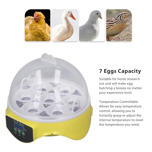 Mini Egg Incubator 7 Eggs with Temperature Control, Poultry Hatcher Machine E67862