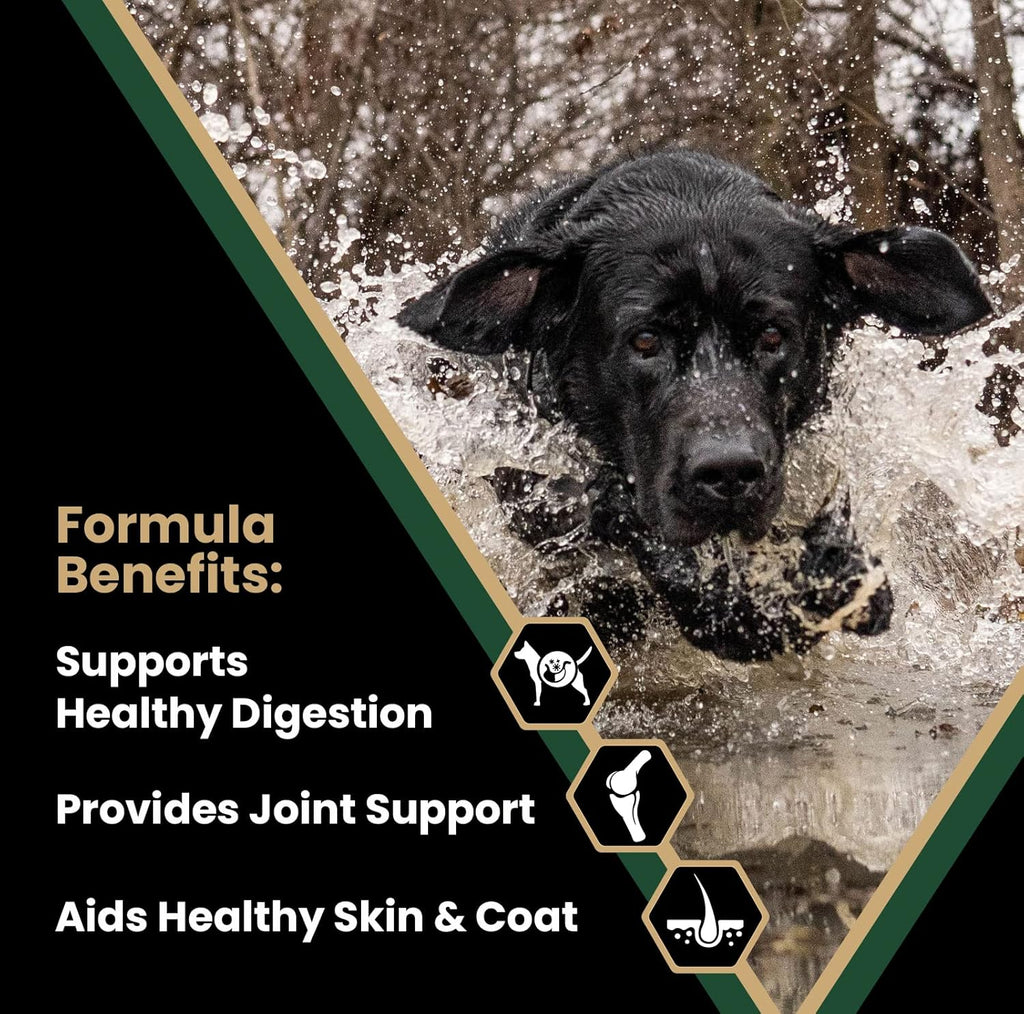 Victor Super Premium Dog Food Performance Dry, 5lbs Z931342