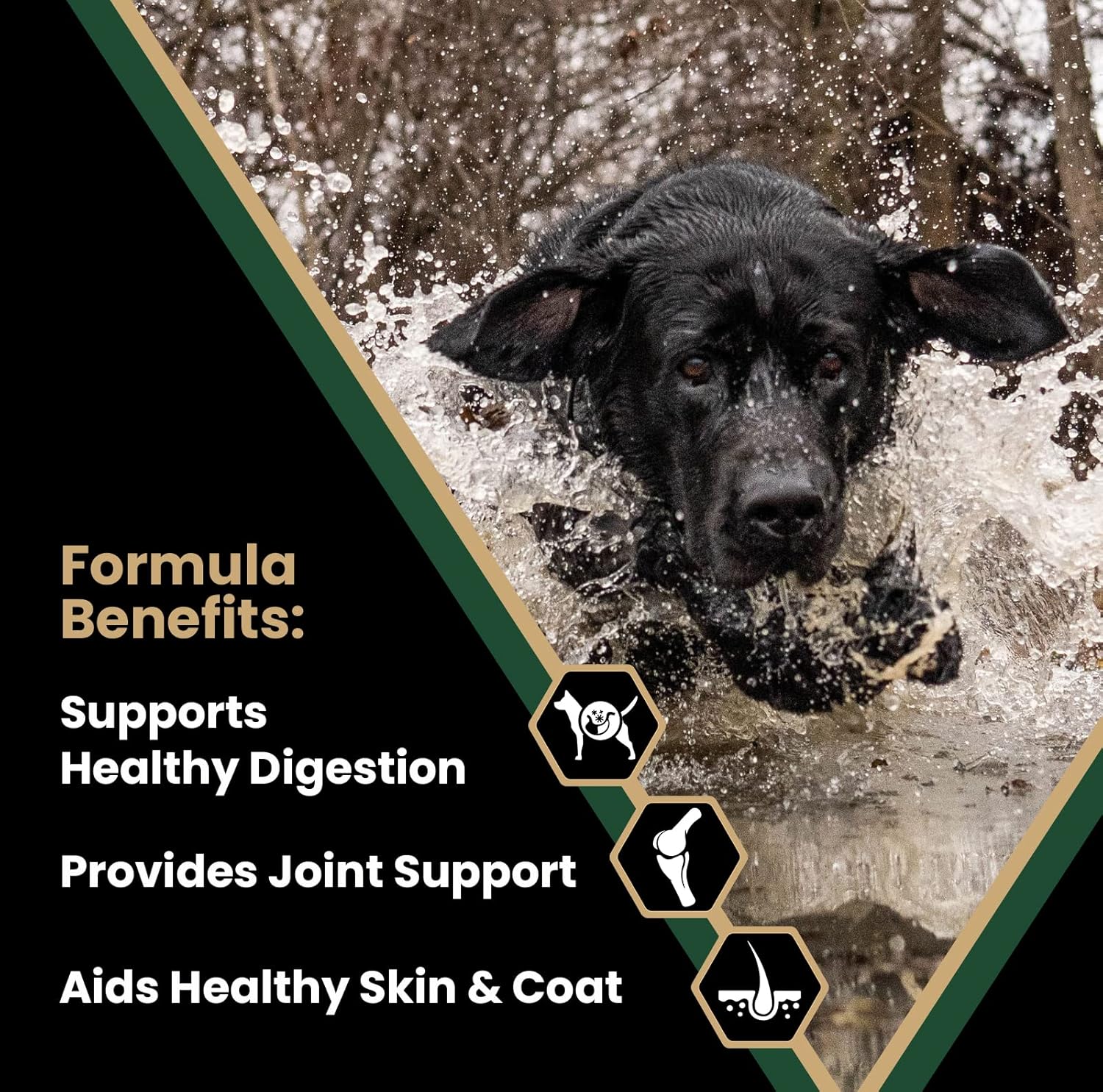 Victor Super Premium Dog Food Performance Dry, 5lbs Z931342