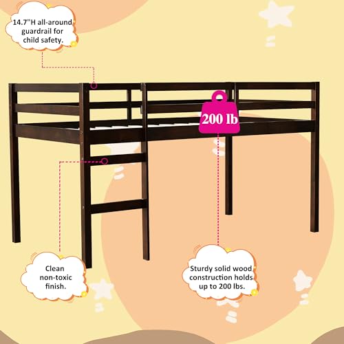 Twin Size Low Loft Bed with Ladder and Safety Guardrail, Solid Wood, White D5235