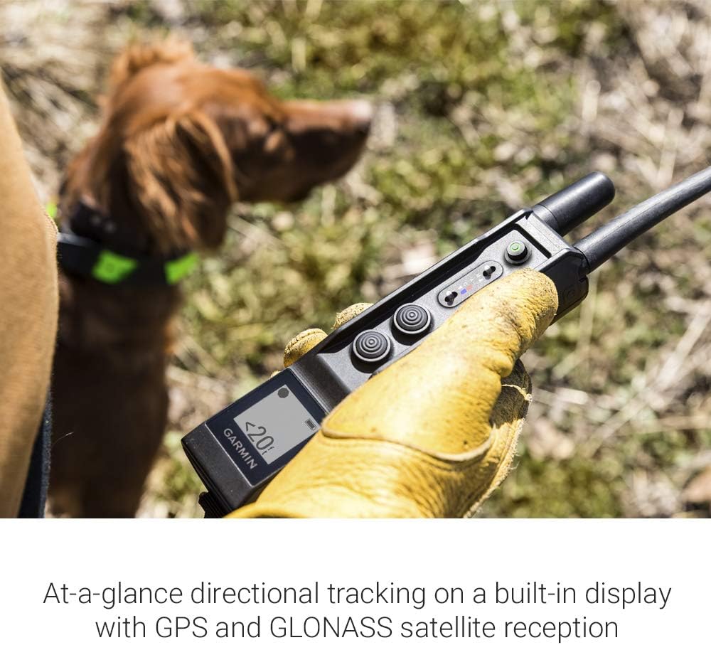 Garmin Pro 550 Plus Dog Training System with GPS Tracking D75568