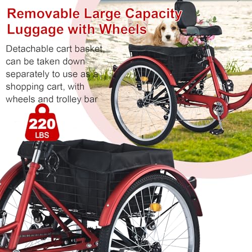 Upgraded Adult Tricycle, 7 Speed, 26 Inch with Front & Rear Baskets X482206