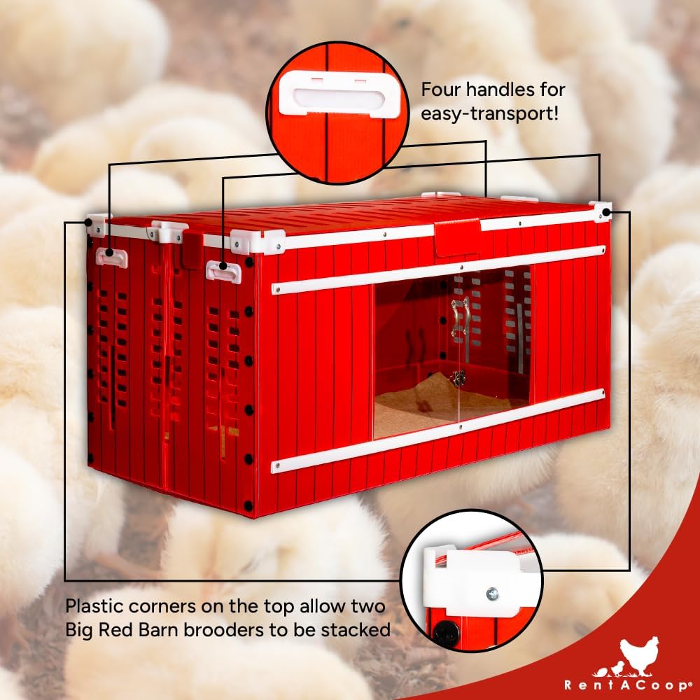 RentACoop Big Red Barn Chick Brooder Set with Heating Plate C34419