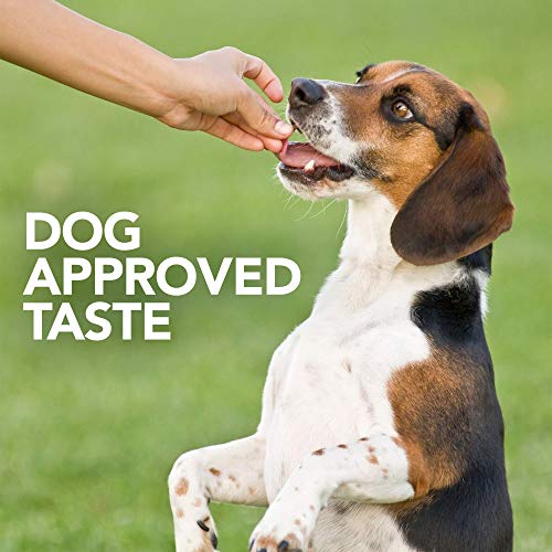 Vet's Best Probiotic Soft Chews Dog Supplement, 90 Day Supply Z925