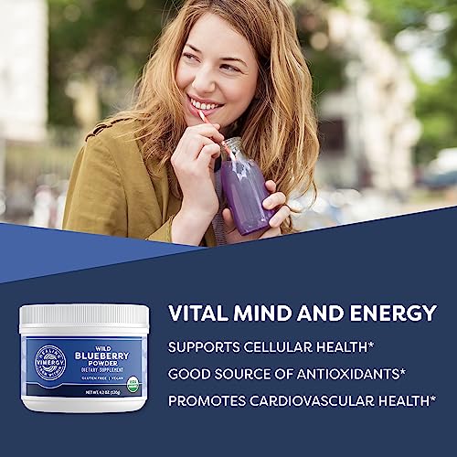 Vimergy USDA Organic Wild Blueberry Supplement Powder, 62 Servings, 250g B84199