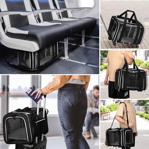 BAGLHER Dog Carrier Bag with Wheels, Airline Approved, Purple F84558