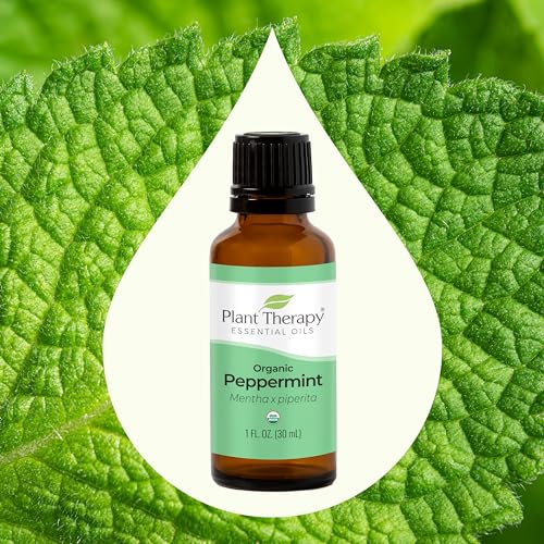 Plant Therapy Organic Frankincense Serrata Essential Oil 30 mL O8991