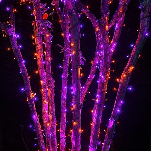 TW SHINE Halloween Lights 328FT Outdoor String Lights with Remote, Purple & Orange F53527