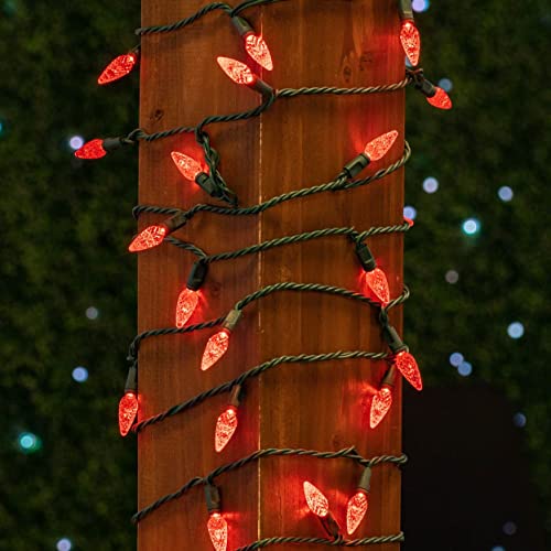 Novelty Lights 24ft 70 LED Purple/Lime Green Halloween String Lights L643884
