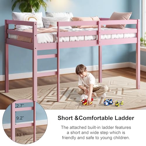 Twin Size Low Loft Bed with Ladder and Safety Guardrail, Solid Wood, White D5235
