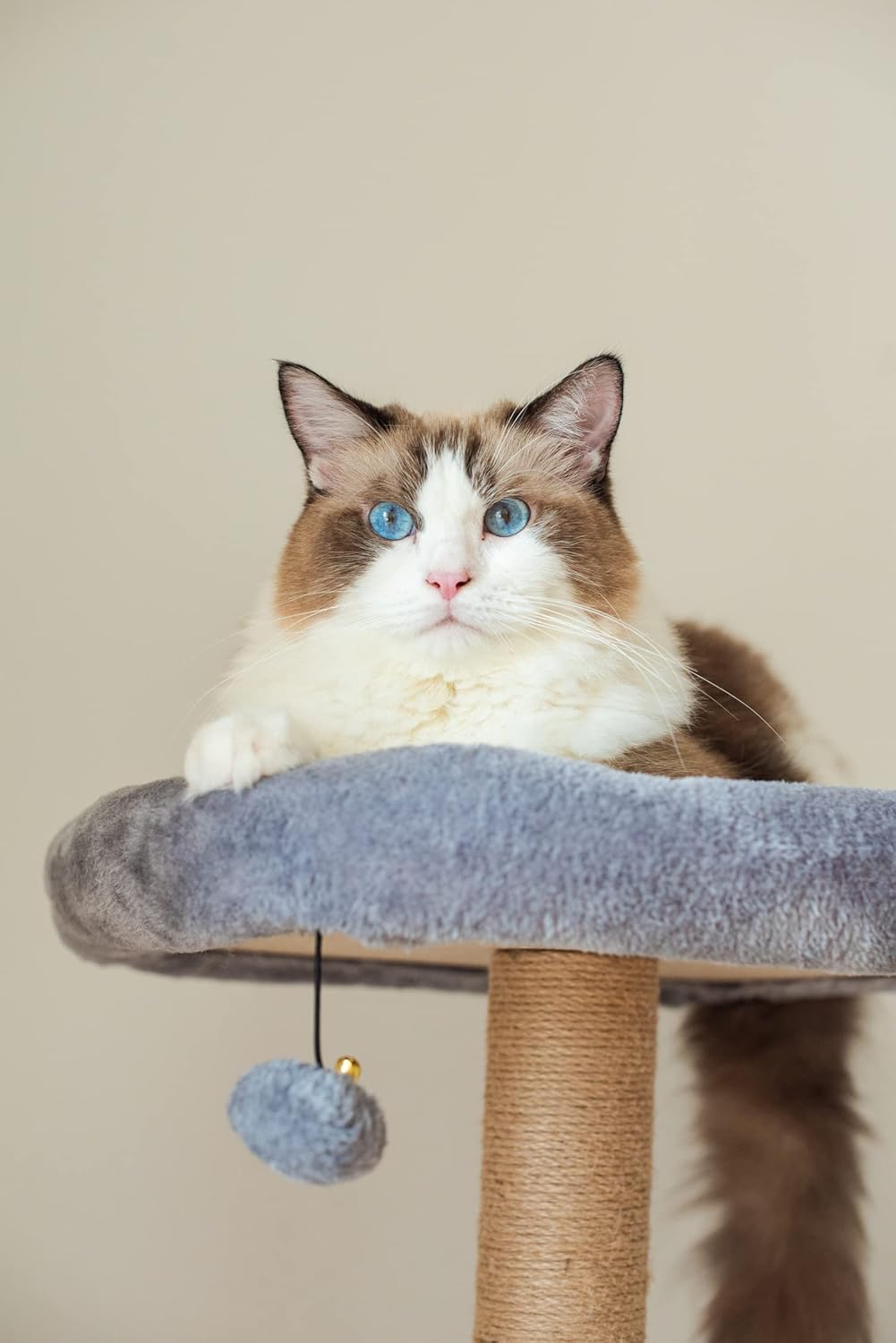 Catry Babylon Cat Tree with Cat Hammock, Scratching Post, 42" Sturdy Cat Furniture, Grey Beige P42273