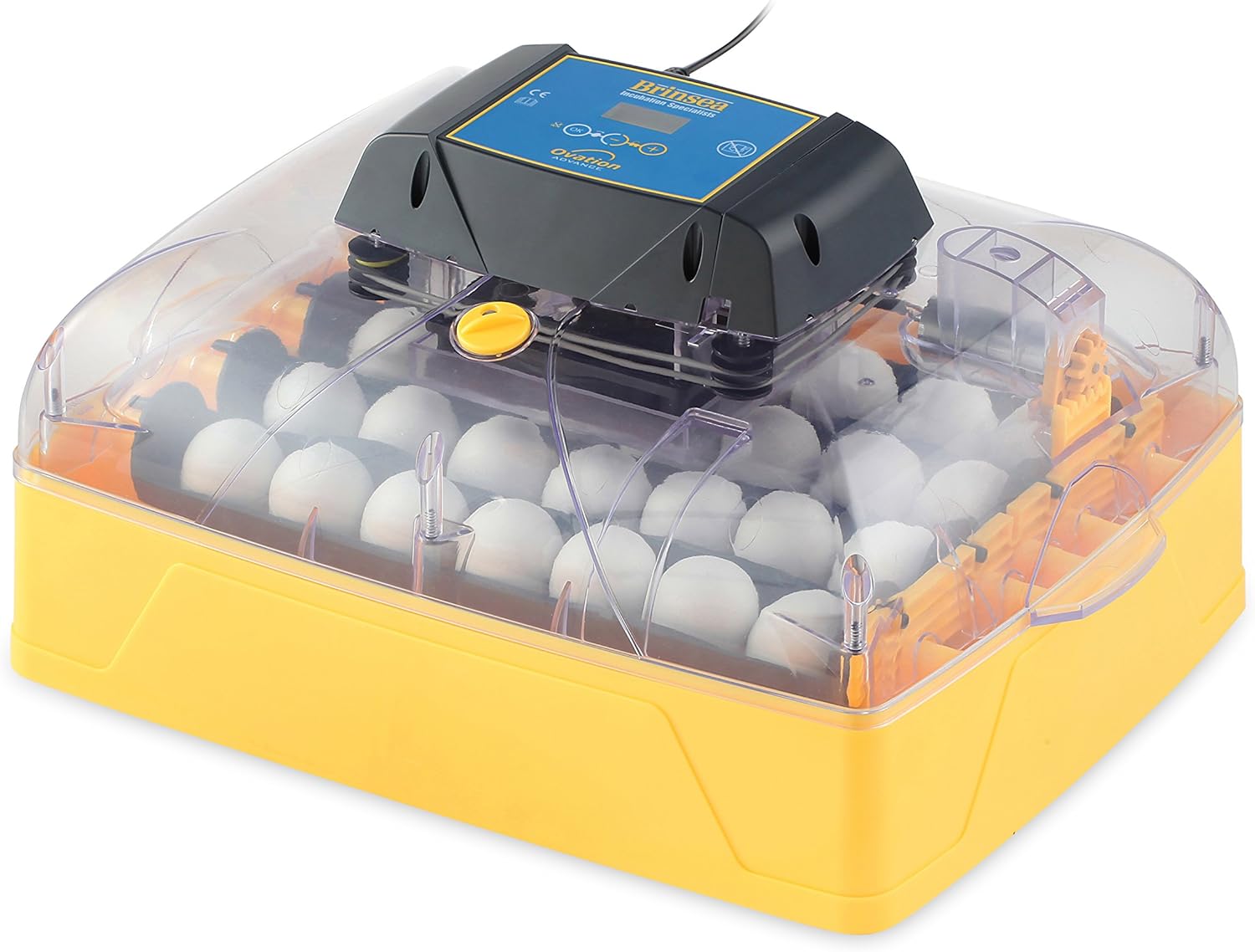 Brinsea Products USAF36C Ovation 28 Advance Automatic Egg Incubator with Humidity Display, One Size