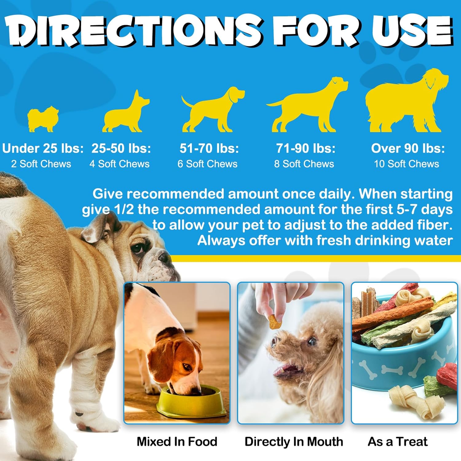 Anal Gland Support Soft Chews for Dogs with Pumpkin, 150 Count H197729