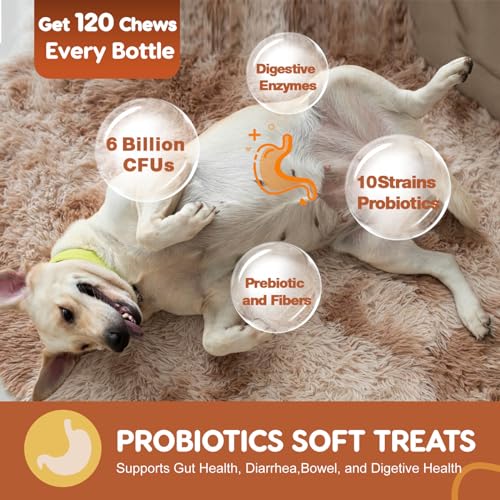 Probiotics for Dogs with Pumpkin & Fish Oil - 120 Soft Chews U723356