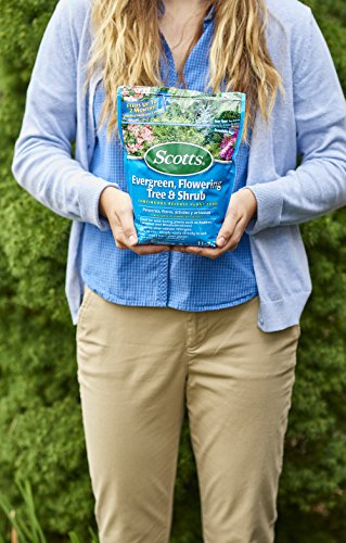 Scotts Evergreen Flowering Tree & Shrub Plant Food 3-Pound U957538