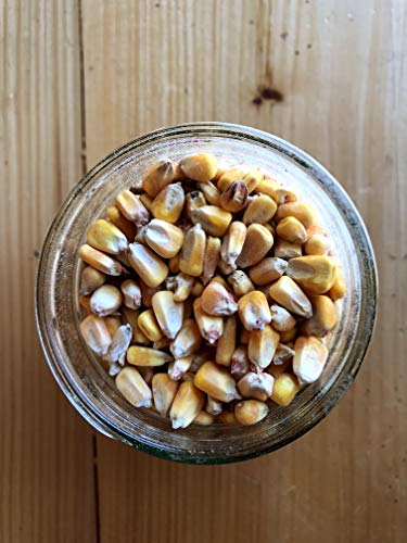 Homestead Harvest Ernst Grain Whole Corn 50 lb U74965