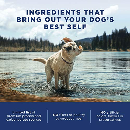 Natural Balance Large Breed Adult Dry Dog Food Lamb & Brown Rice, 26 lb B46116