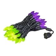 Novelty Lights 24ft 70 LED Purple/Lime Green Halloween String Lights L643884