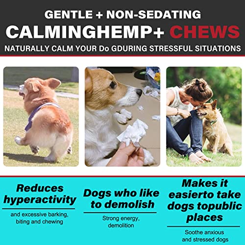 Calming Chews for Dogs with Hemp Oil, Chicken Flavor K673201