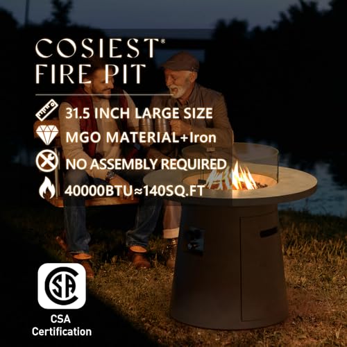 COSIEST Outdoor Propane Fire Pit Table 32-inch Round Concrete with Stainless Steel Burner G864943