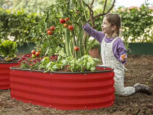 Galvanized Raised Garden Bed 4×2×1 ft Metal Planter Box for Vegetables, Flowers M146044