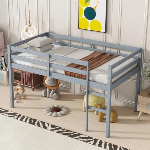 Twin Size Low Loft Bed with Ladder and Safety Guardrail, Solid Wood, White D5235