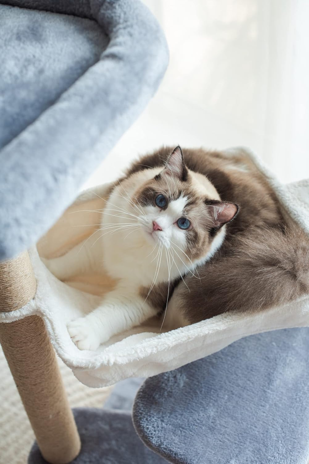 Catry Babylon Cat Tree with Cat Hammock, Scratching Post, 42" Sturdy Cat Furniture, Grey Beige P42273