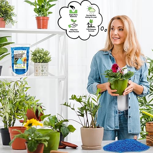 Gardenwise 20-20-20 All Purpose Water Soluble Fertilizer, Plant Food, 1/2 Quart E4358