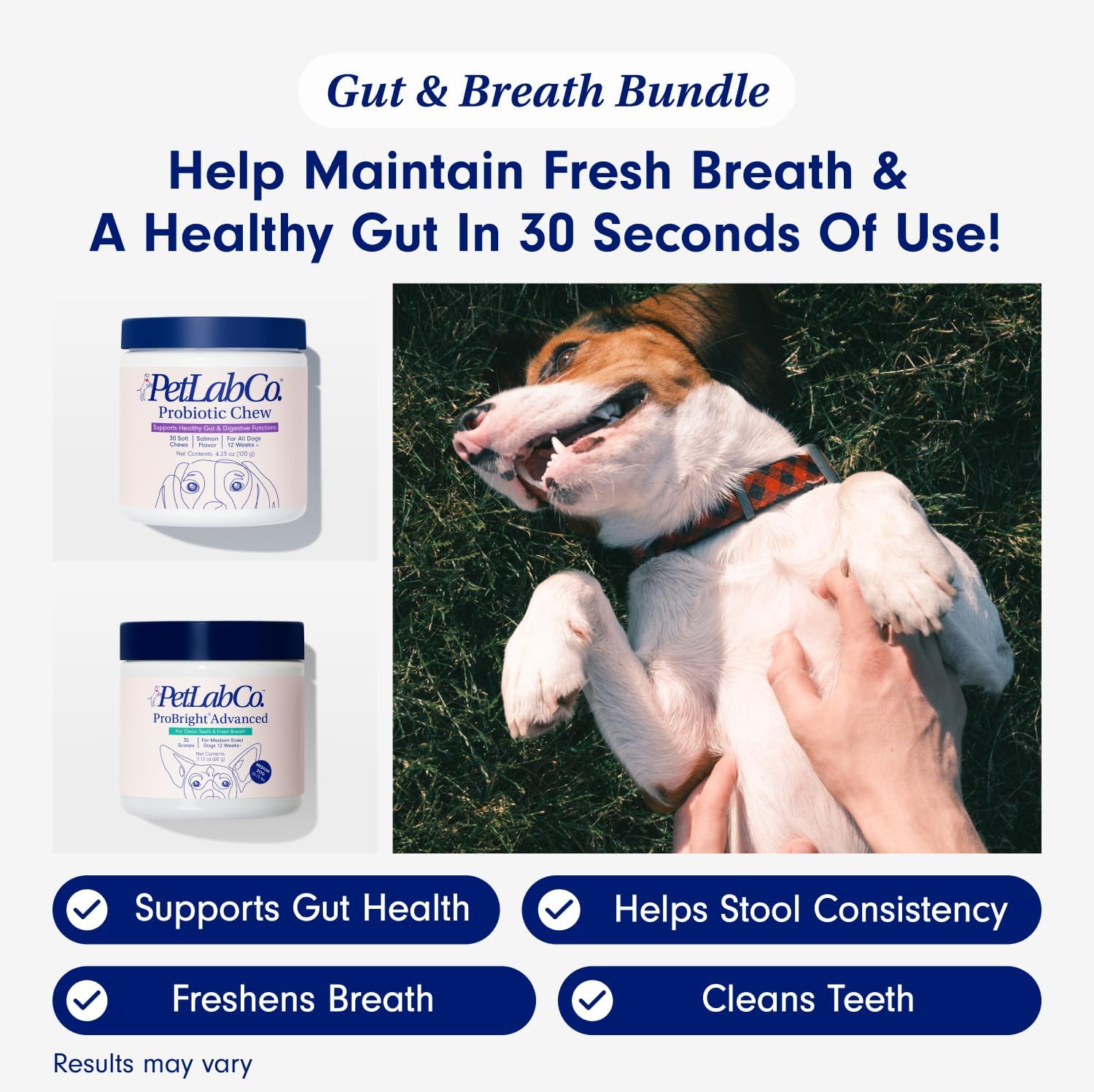 PetLab Co. Gut & Breath Bundle Dental Powder & Probiotics for Large Dogs Z749770