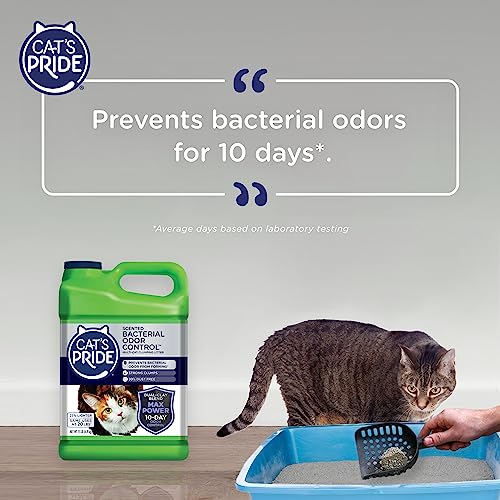 Cat's Pride Max Power Unscented Multi-Cat Clumping Litter, 15 lbs (Pack of 2) O83821