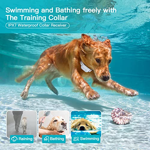 Bousnic Dog Training Collar with Remote - Waterproof Rechargeable for Small to Large Dogs M220