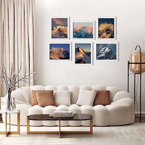 Egofine 8x10 Picture Frames Set of 6, Solid Wood with Plexiglass, White T6319