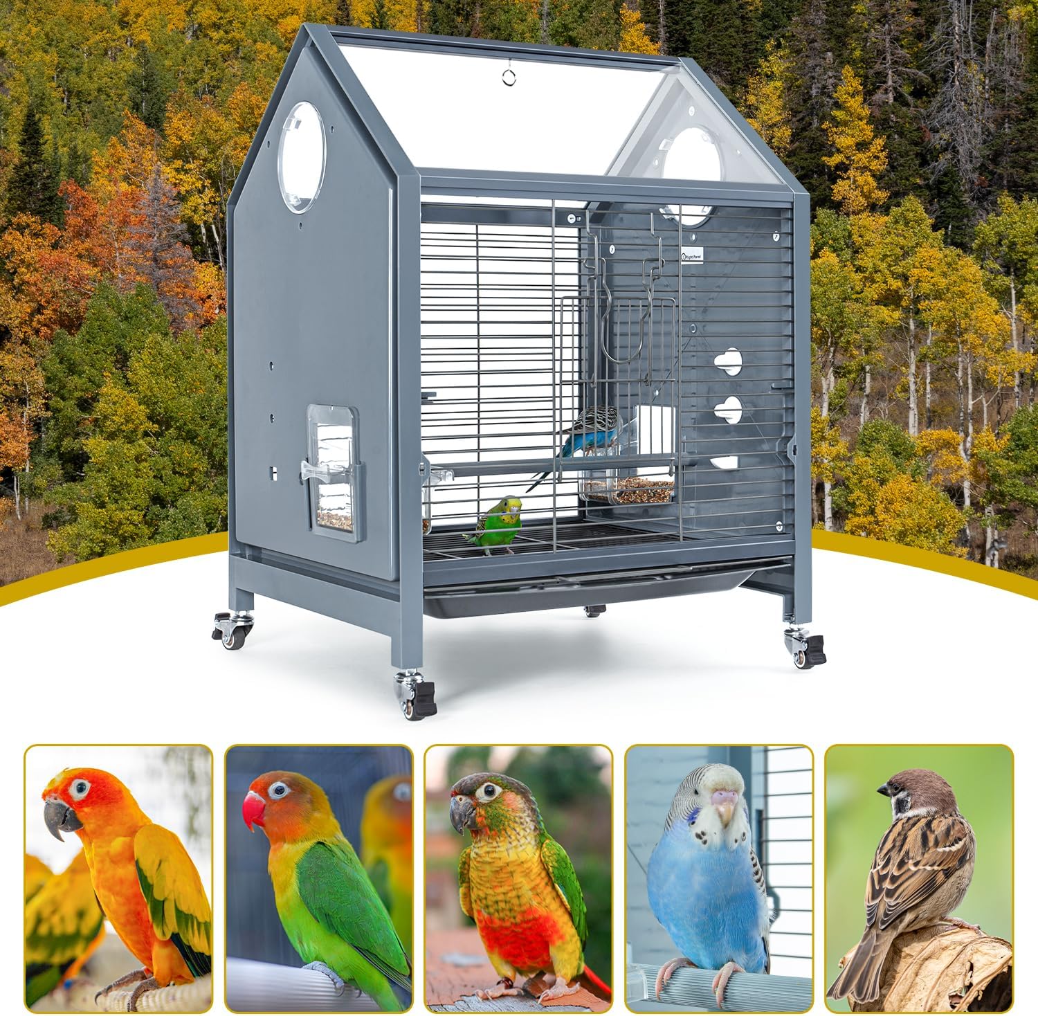 OIIBO Acrylic Bird Cage 25 Inch Rolling with Perch for Parrots Z921411