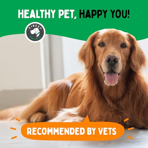 TummyWorks Probiotic 120 Soft Chews for Dogs, Digestive Health Support, Made in USA V4527