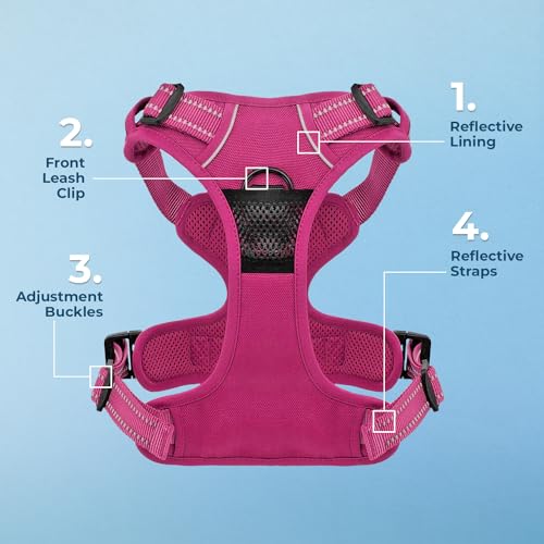 Voyager Dog Harness No-Pull Adjustable Reflective Pet Harness for Medium and Large Dogs - Purple Lattice, XS F50831