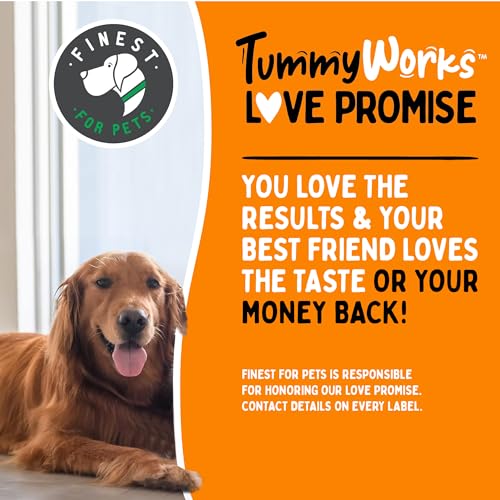 TummyWorks Probiotic 120 Soft Chews for Dogs, Digestive Health Support, Made in USA V4527
