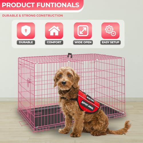 FDW Dog Crate Folding Metal Pet Cage Double Door with Divider Panel, 48 Inch, Black L2141