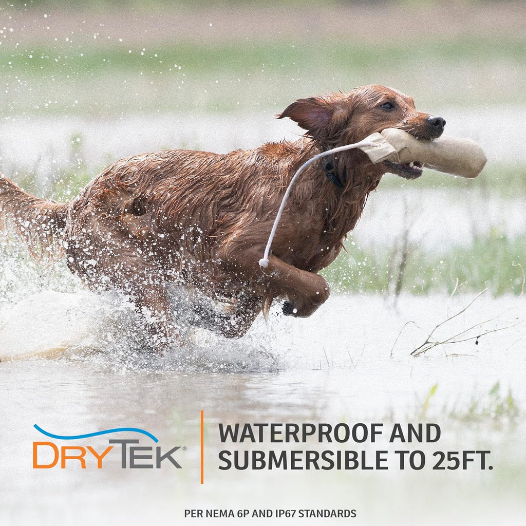 SportDOG Brand NoBark SBC-R Bark Collar - Rechargeable, Waterproof O810