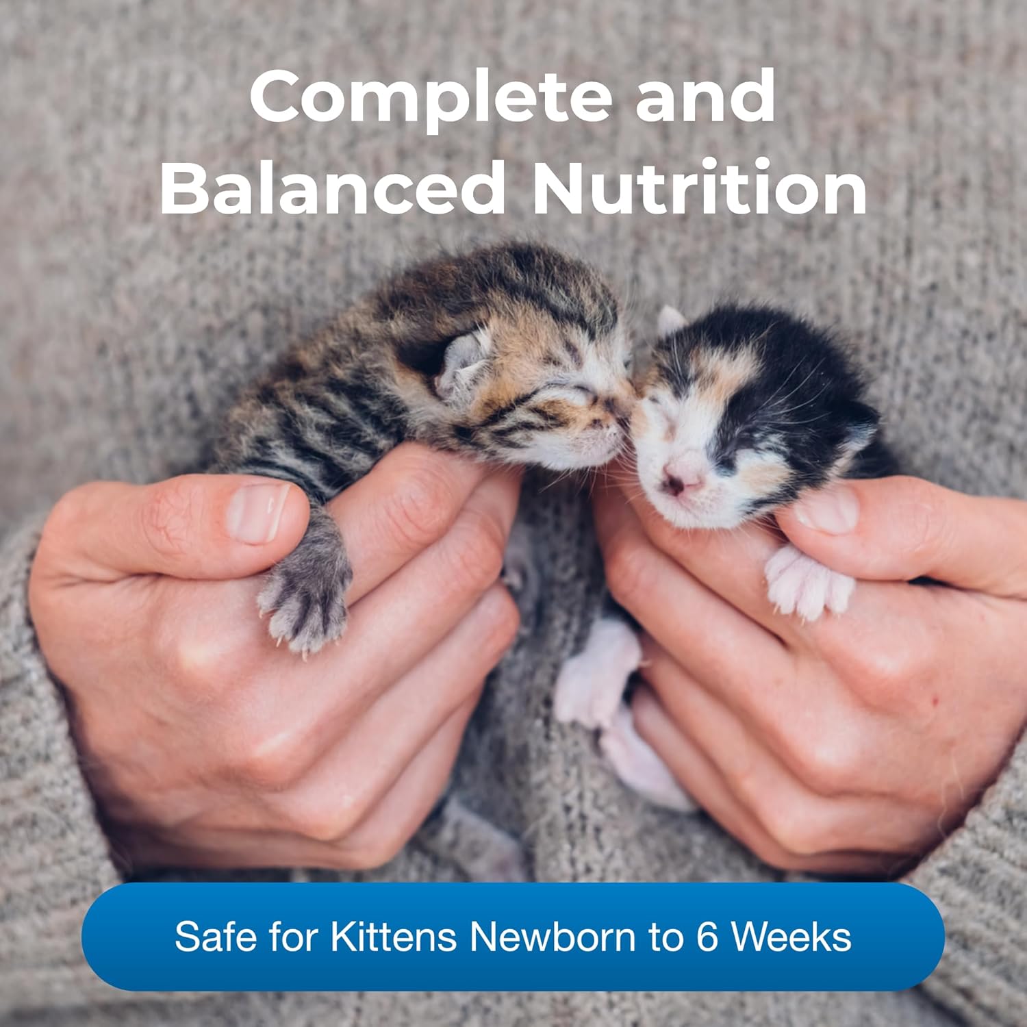 Pet-Ag KMR Kitten Milk Replacer Liquid 11 oz E199