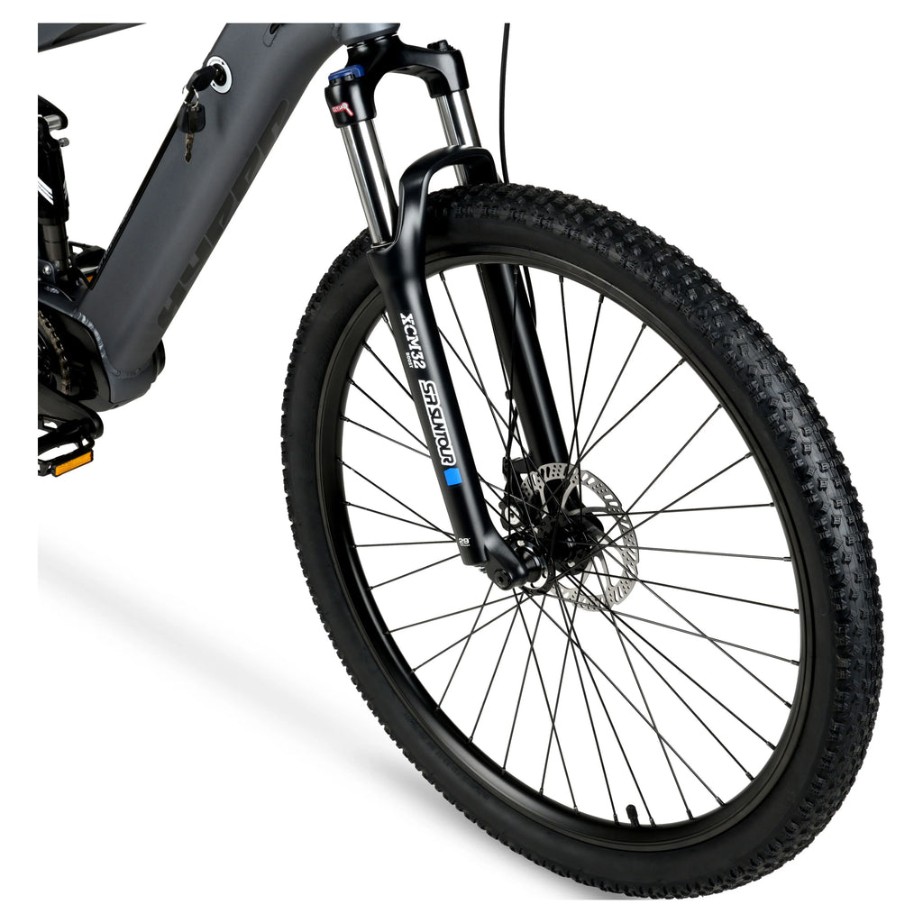 Hyper Bicycles E-Ride 29" 36V Electric Mountain Bike for Adults, Grey N5618