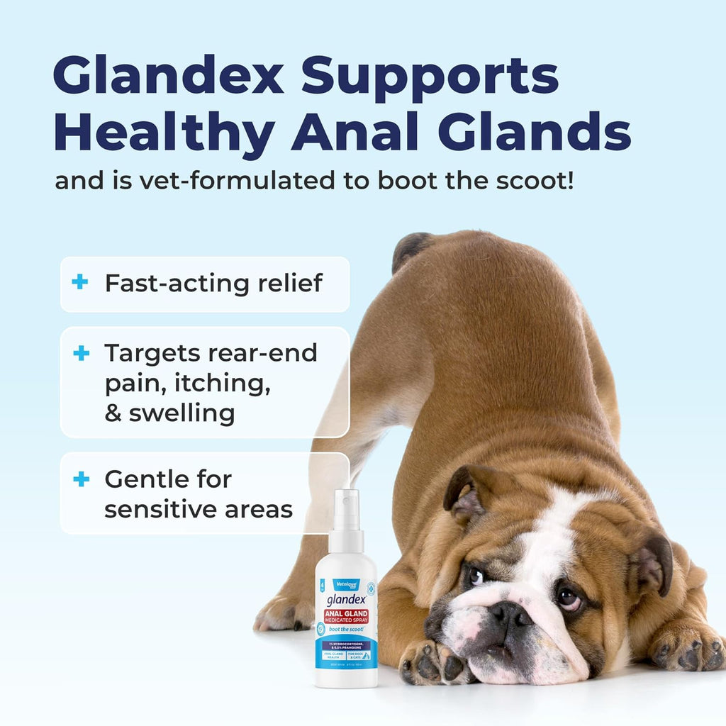 Vetnique Labs Glandex Medicated Anal Gland Spray for Dogs & Cats, 4oz R413858