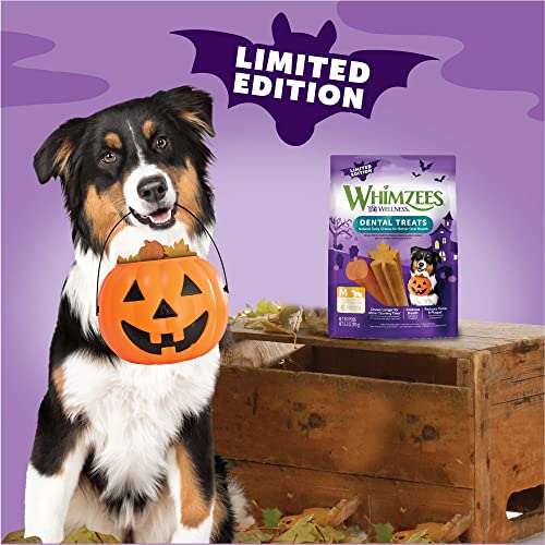 Whimzees by Wellness Halloween Natural Dental Chews for Dogs, Grain-Free, Medium, 24 count I236260