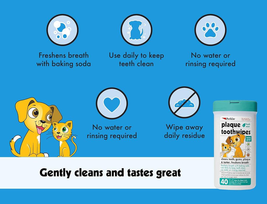 Petkin Cat and Dog Dental Wipes, Fresh Mint, 80 Count Y724217
