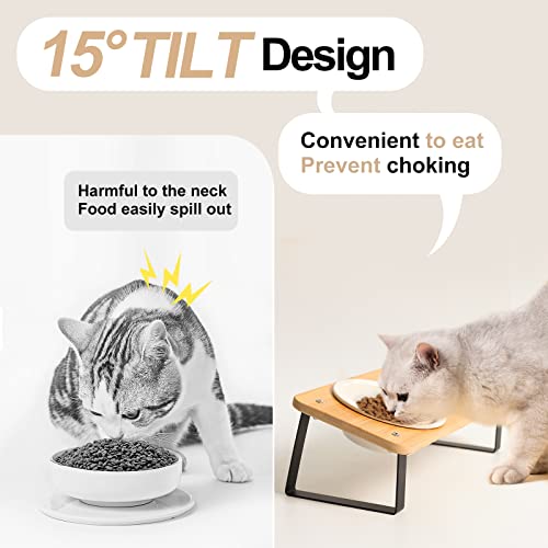Elevated Cat Food Bowl with Bamboo Stand, 15° Tilted Ceramic Cat Bowl N660