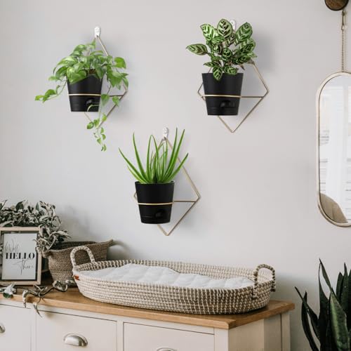 3 Sets Black Hanging Wall Planters for Indoor Plants with Self-Watering H953230