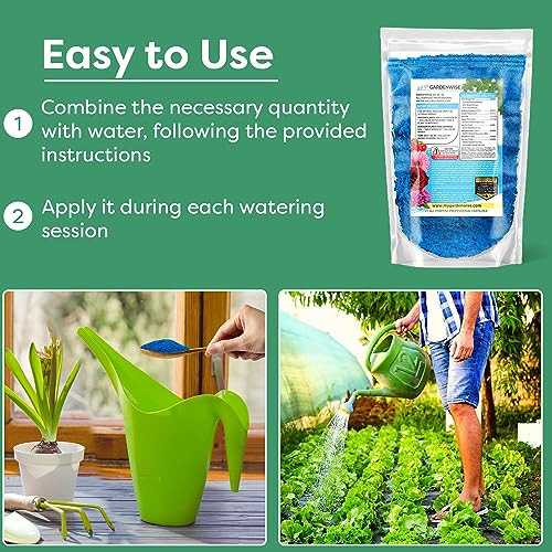 Gardenwise 20-20-20 All Purpose Water Soluble Fertilizer, Plant Food, 1/2 Quart E4358