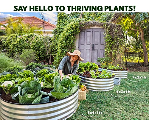 Galvanized Raised Garden Bed 4×2×1 ft Metal Planter Box for Vegetables, Flowers M146044