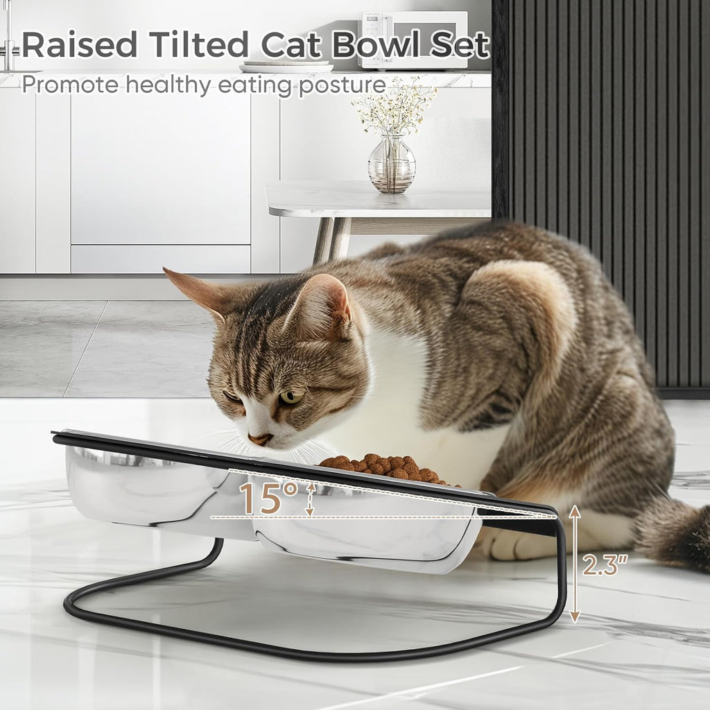 Raised Cat Food and Water Bowl Set with Stainless Steel Stand, 15° Tilted, Double Metal Bowls B6901